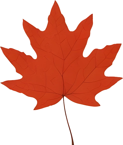 rendy Foliage Design, Leaf PNG Download, Tropical different type exotic leaves set_18.webp